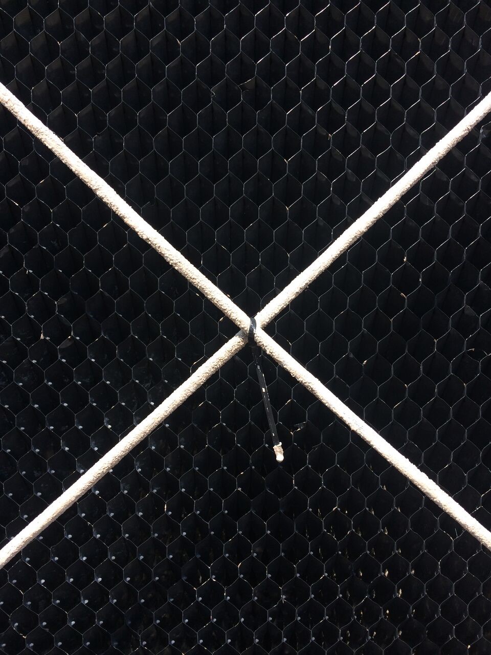 Processed - Man holding beer